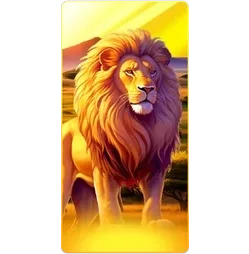 Lion
Safari